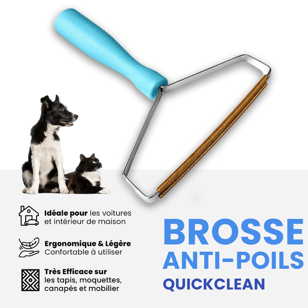 Brosse Ramasse-Poils réutilisable Zolia CleanStick