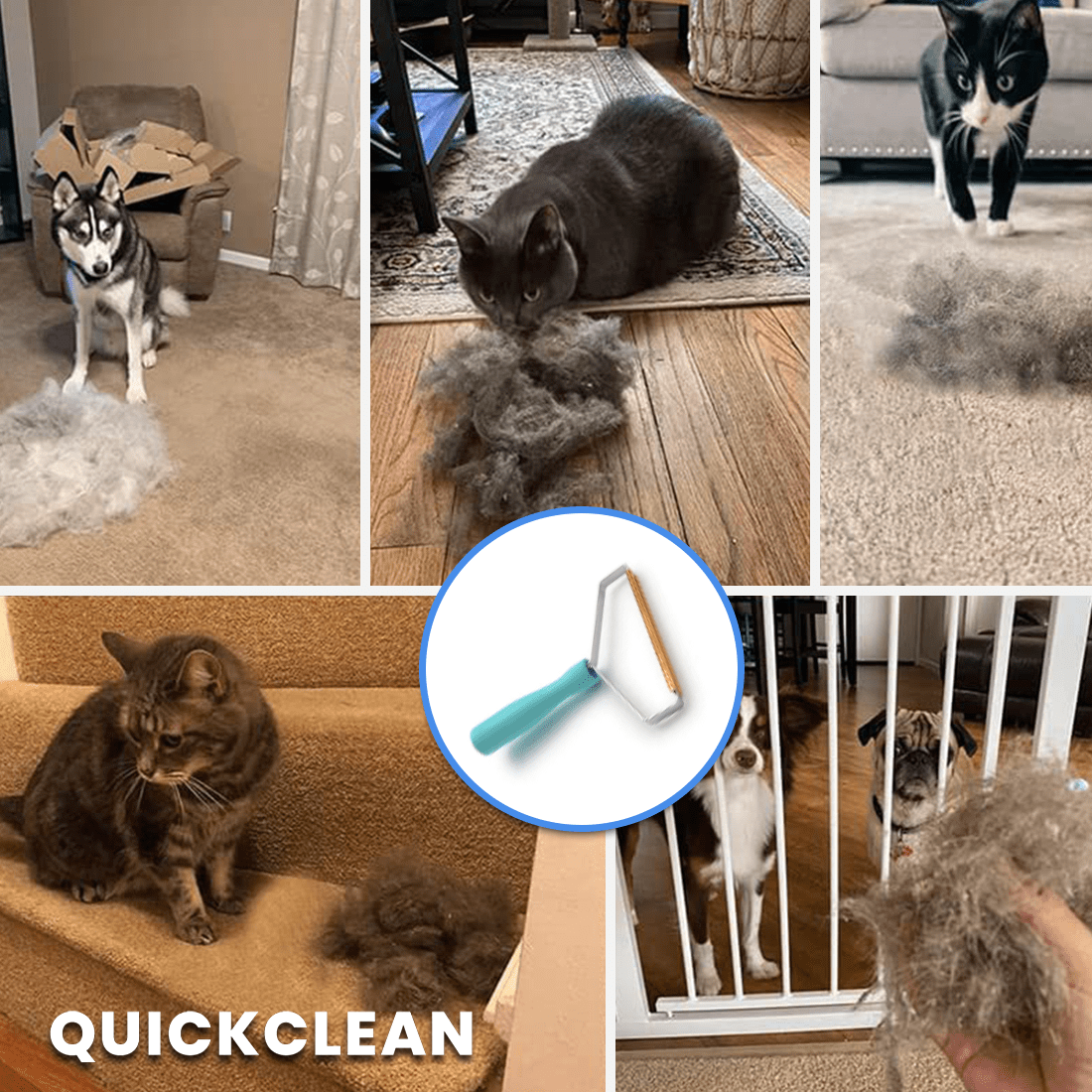 Brosse de nettoyage anti-poils d'animaux réutilisable ramasse poils chien  et chat